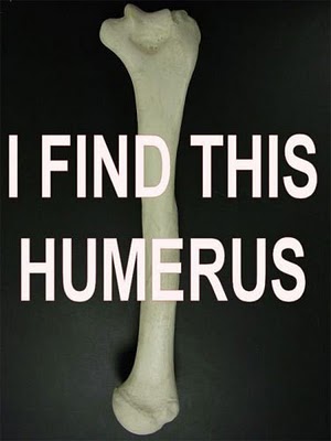 I find this Humerus